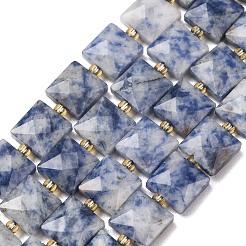 Natural Blue Spot Jasper Beads Strands&nbsp;G-F839-A15-01