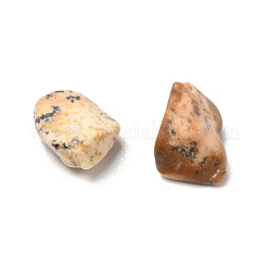 Natural Picture Jasper Chips&nbsp;G-G869-01