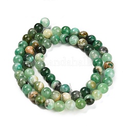Natural Green Line Jasper  Beads Strands&nbsp;X-G-B128-A03-02