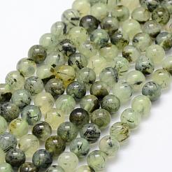 Natural Prehnite Beads Strands&nbsp;G-P322-48-8mm
