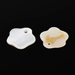 Freshwater Shell Pendants&nbsp;SSHEL-T007-10B