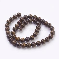 Natural Bronzite Beads Strands&nbsp;G-Q605-25