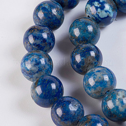 Natural Lapis Lazuli Beads Strands&nbsp;G-K254-01-12mm