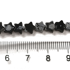 Natural Snowflake Obsidian Beads Strands&nbsp;G-G085-B37-02