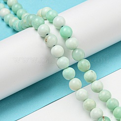 Grade A Natural Chrysoprase Beads Strands&nbsp;G-R494-A02-02