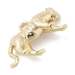 Brass Pendants&nbsp;KK-S514-01B-G