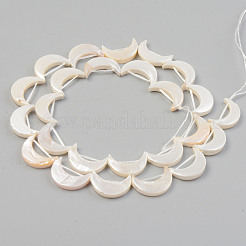 Electroplate Natural Freshwater Shell Beads Strands&nbsp;X-SHEL-T017-16D