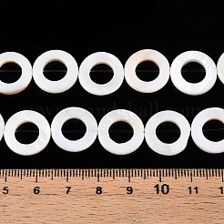 Natural Freshwater Shell Beads Strands&nbsp;SHEL-N036-03