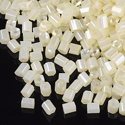 8/0 Two Cut Glass Seed Beads&nbsp;SEED-S033-07A-02