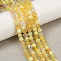 Natural Fire Crackle Agate Bead Strands&nbsp;G-K166-07F-6mm-07