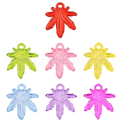 Transparent Acrylic Beads&nbsp;X-PL711Y