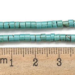 Natural Turquoise Beads Strands&nbsp;X-G-C084-D10-02