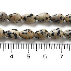 Natural Dalmatian Jasper Beads Strands&nbsp;G-B106-A29-01