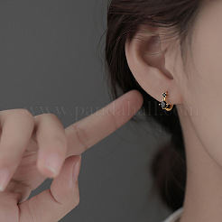 Brass Cubic Zirconia Hoop Earrings&nbsp;FS-WG07C05-01