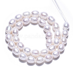 Natural Cultured Freshwater Pearl Beads Strands&nbsp;PEAR-N012-08D