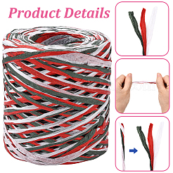 Segment Dyed Raffia Paper Cords for DIY Craft&nbsp;OCOR-WH20020-27E
