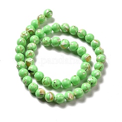Synthetic Turquoise and Sea Shell Assembled Beads Strands&nbsp;G-D482-01C-02