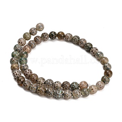 Tibetan Style dZi Beads Strands&nbsp;GG-NH0001-A03-8MM