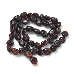 Natural Garnet Beads Strands&nbsp;G-G349-A01-8x10mm