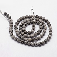 Natural Map Stone/Picasso Stone/Picasso Jasper Beads Strands&nbsp;X-G-D840-35-4mm