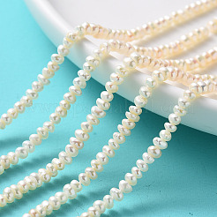 Natural Cultured Freshwater Pearl Beads Strands&nbsp;PEAR-L003-B-03