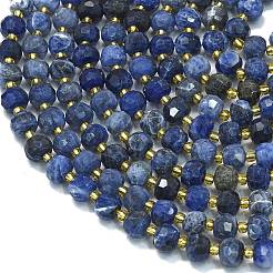 Natural Sodalite Beads Strands&nbsp;G-K389-E74-01B
