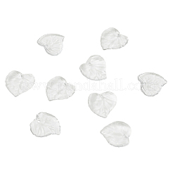 Transparent Acrylic Pendants&nbsp;TACR-TA0001-01