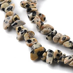 Natural Dalmatian Jasper Beads Strands&nbsp;X-G-G0003-B29