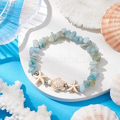 Natural Amazonite & Synthetic Turquoise Beaded Stretch Bracelets for Women&nbsp;BJEW-JB10750-02