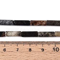 Natural Biotite Beads Strands&nbsp;G-T141-74