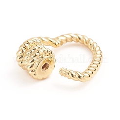 Brass Screw Carabiner Lock Charms&nbsp;X-ZIRC-E164-13G