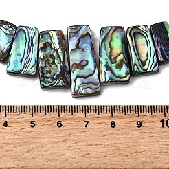 Natural Paua Shell Beads Strands&nbsp;BSHE-S305-01A