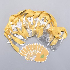 PVC Plastic Bags&nbsp;LS-ABAG-I004-A05