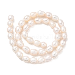 Natural Cultured Freshwater Pearl Beads Strands&nbsp;PEAR-I007-01F-06A