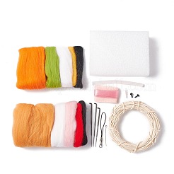 DIY Needle Felting Kit&nbsp;DIY-D067-02P