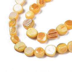 Natural Trochid Shell/Trochus Shell Beads Strands&nbsp;SHEL-S258-083-B11