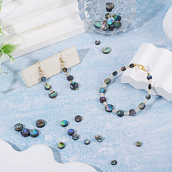 30Pcs 3 Styles Natural Paua Shell Beads&nbsp;BSHE-TA0001-36