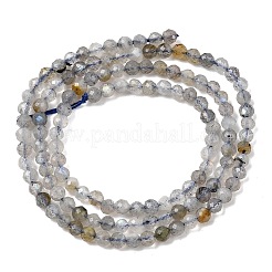 Natural Labradorite Beads Strands&nbsp;G-RM250104-E8