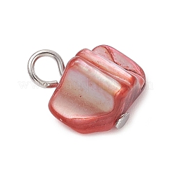 Dyed Natural Sea Shell Nuggets Charms&nbsp;PALLOY-JF04307-01