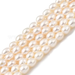 Natural Cultured Freshwater Pearl Beads Strands&nbsp;PEAR-I007-01Q-01D