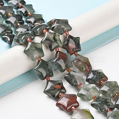 Natural African Bloodstone Beads Strands&nbsp;G-NH0005-003