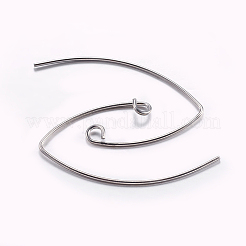 Brass Earring Hooks&nbsp;LS-KK-K197-60P