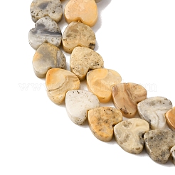 Natural Crazy Agate Beads Strands&nbsp;G-M403-A51-02