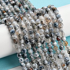 Dyed Natural Fire Crackle Agate Beads Strands&nbsp;G-G007-01F