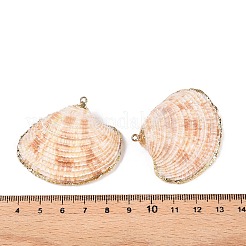 Natural Sea Shell Pendants&nbsp;SSHEL-N038-16
