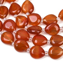 Natural Carnelian Beads Strands&nbsp;G-K393-E02-10x12