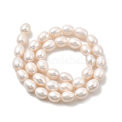 Natural Cultured Freshwater Pearl Beads Strands&nbsp;PEAR-I007-01E-04A