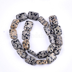 Natural Dalmatian Jasper Beads Strands&nbsp;X-G-T121-16