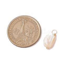 Natural Seashell Nuggets Charms&nbsp;PALLOY-JF02842