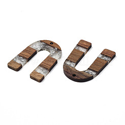 Transparent Resin & Waxed Walnut Wood Pendants&nbsp;RESI-Q211-02B